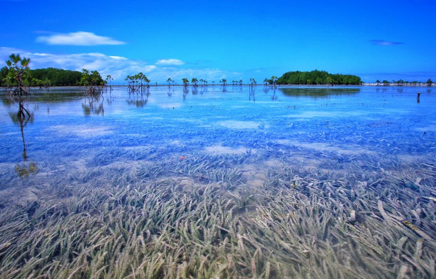 Olango Island, Philippines, Philippines